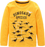 Boys Cotton Long Sleeve T-Shirts T Rex Dinosaur Shirt Graphic Tees