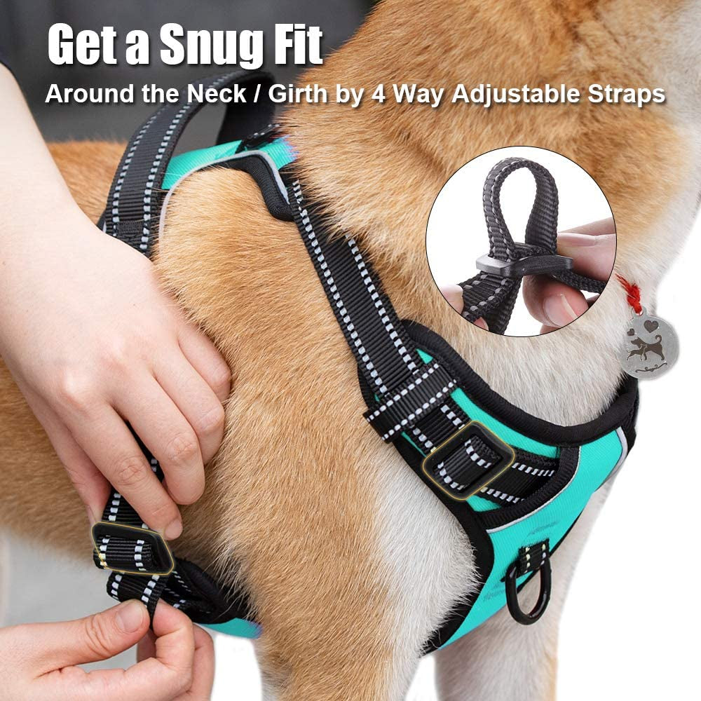 No Pull Dog Harness Medium, Reflective Vest with Front Clip & Handle | Easy On/Off, No Choke, Adjustable, 2 Leash D-Rings, Soft Padded, Breathable, Oxford, for Walking Training, M, Mint Blue