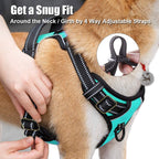 No Pull Dog Harness Medium, Reflective Vest with Front Clip & Handle | Easy On/Off, No Choke, Adjustable, 2 Leash D-Rings, Soft Padded, Breathable, Oxford, for Walking Training, M, Mint Blue