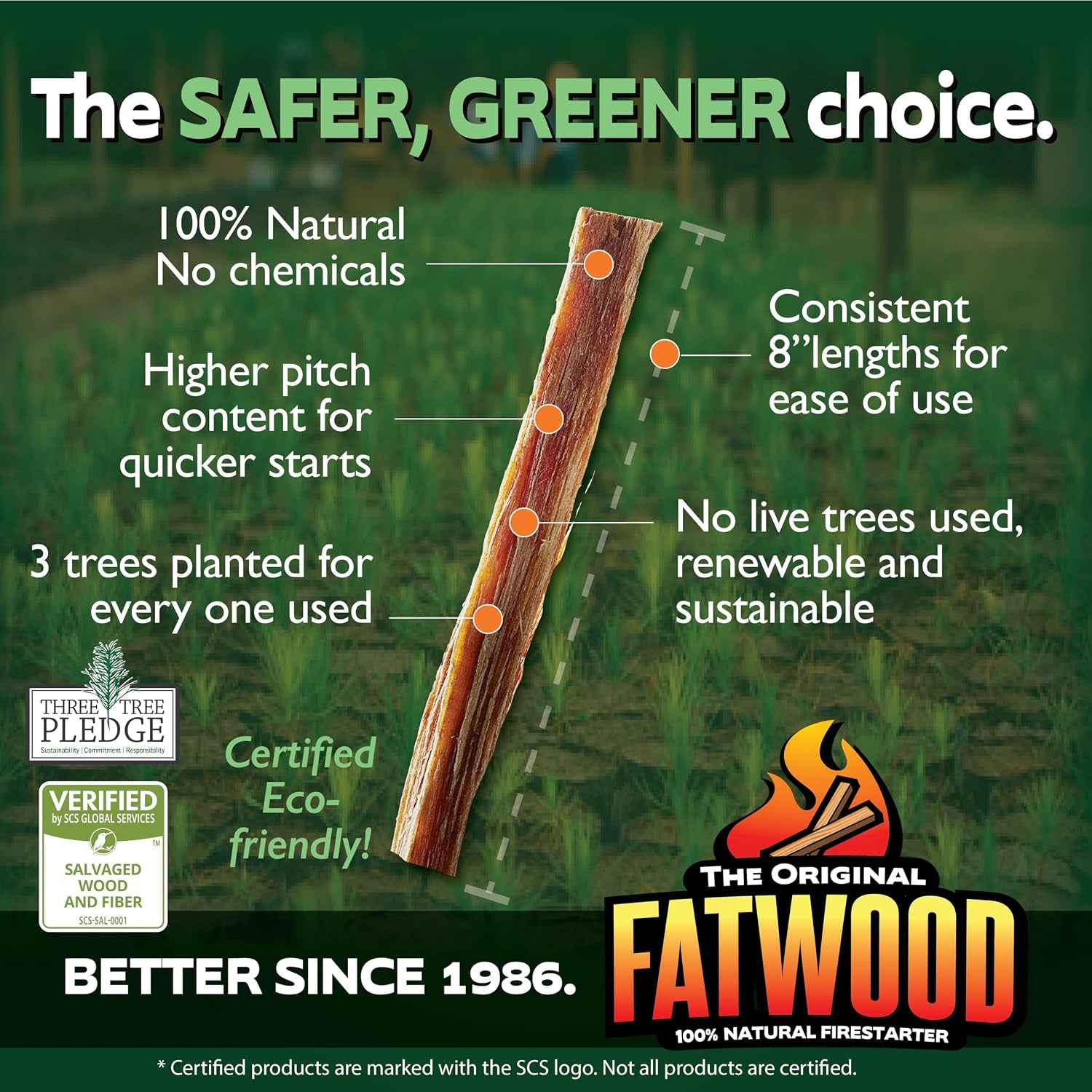 Limited Edition Protect the Parks Series All Natural Fatwood Fire Starter Sticks, 13 Pound Wooden Crate, Grand Canyon