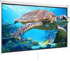 Projector Screen, 100 Inch Manual Pull down Projector Screen, 16:9 4K 1080 HD Projector Screen, Auto-Locking Portable Projection Screen, Projector Screen for Family Home Office Theater