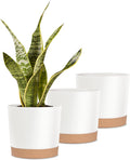 Indoor Plant Pots Planters 8 Inch Plastic Planter with Hole & Saucer Flower Pots Modern Decorative for Outdoor Garden Home (White X 3 Pack)