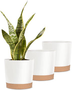 Indoor Plant Pots Planters 8 Inch Plastic Planter with Hole & Saucer Flower Pots Modern Decorative for Outdoor Garden Home (White X 3 Pack)