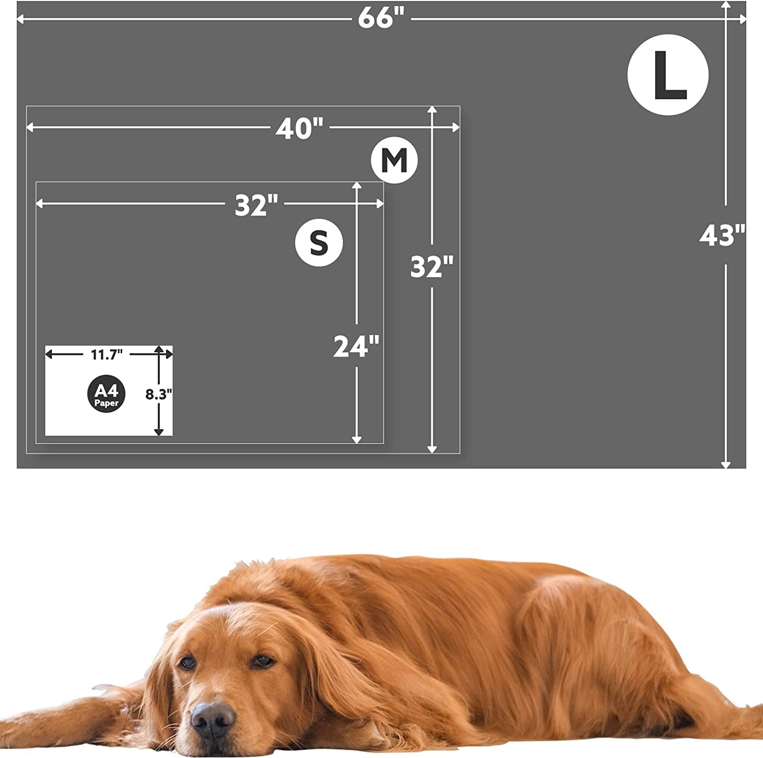 Premium Soft Dog Couch Blanket, with Flannel Cute Paw Print, 30 * 70 Inches, Cat Blanket Puppy Supplies Dog Products Stuff Essentials, Gray