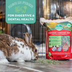 Western Timothy Hay, Rabbit & Guinea Pig Hay, High Fiber, USA, 90 Oz |  Timothy Hay, Bunny Hay for Rabbits, Guinea Pigs, Bunnies and Chinchillas, Hand-Sorted, De-Dusted, Made in USA