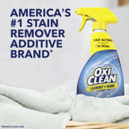Laundry Stain Remover Spray, 21.5 Fl Oz
