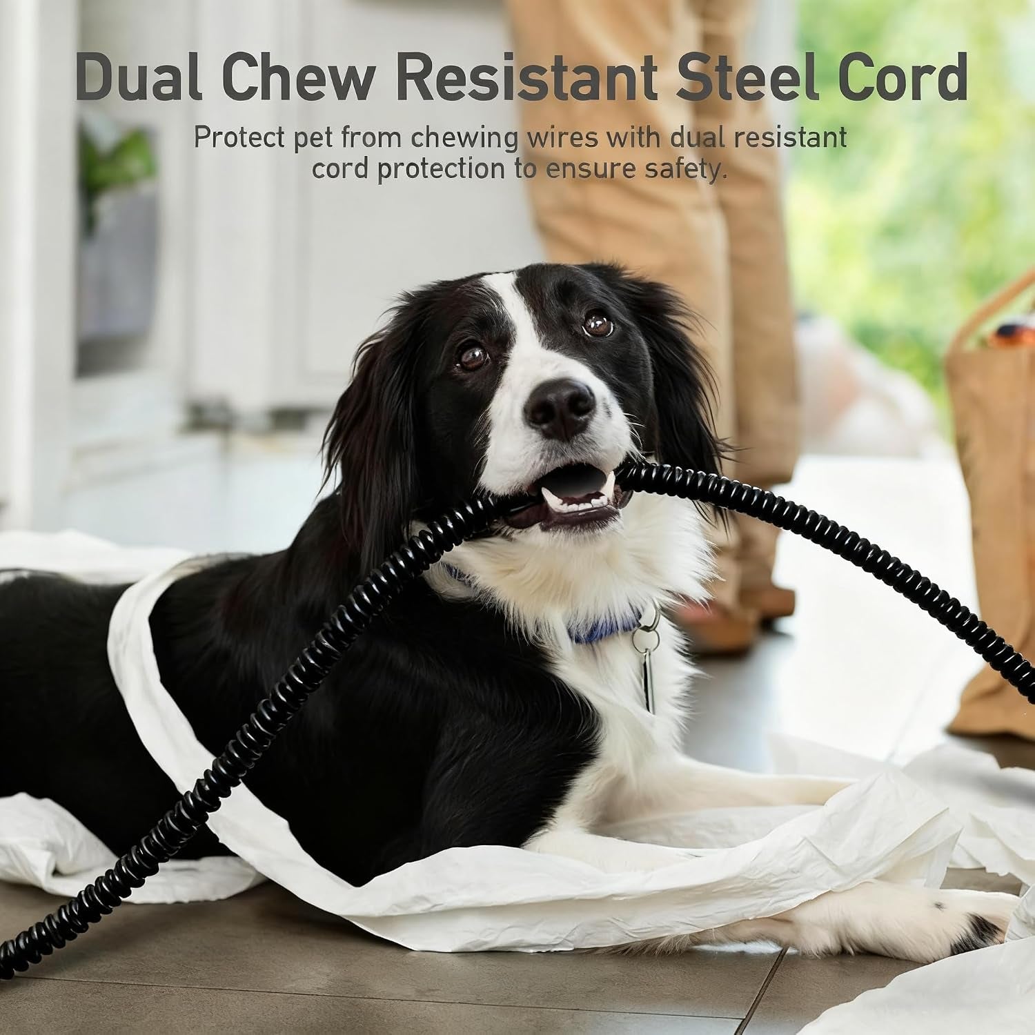 Pet Heating Pad,Cat Heating Pad Indoor Waterproof,Auto Constant Temperature, Chew Resistant Steel Cord (Blue, S-12" X 16")