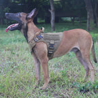 Tactical Dog Harness for Medium Dogs,Full Metal Buckles Dog Vest | with MOLLE, Reflective,Adjustable,2 Leash Clips,Control Handle,No Pull,Soft Padded,Brown,Medium