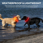 Led Dog Collar - Waterproof Lighted Doggie Collars for Night Rechargeable, High Visibility TPU Cuttable Lighted Pet Collar (Red)
