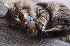 (2 Count) Mouse Mates Plush Catnip Cat Toys - Brown/Gray, 2 Count