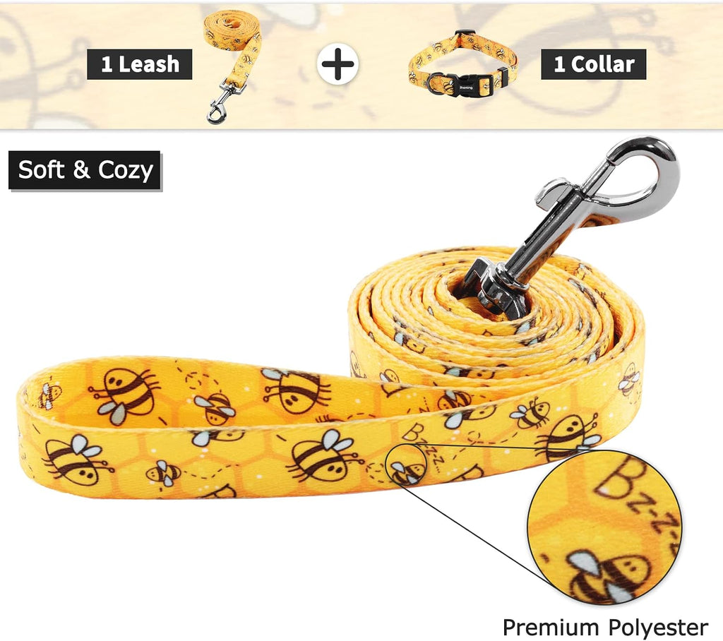 Dog Collar and Leash Set for Small Dogs & Cats, up to 20 Lbs | Soft Splicing Design, Adjustable Durable Pet Collar Leash for Everyday Walks, Training, and Outdoor Activities