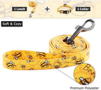 Dog Collar and Leash Set for Small Dogs & Cats, up to 20 Lbs | Soft Splicing Design, Adjustable Durable Pet Collar Leash for Everyday Walks, Training, and Outdoor Activities
