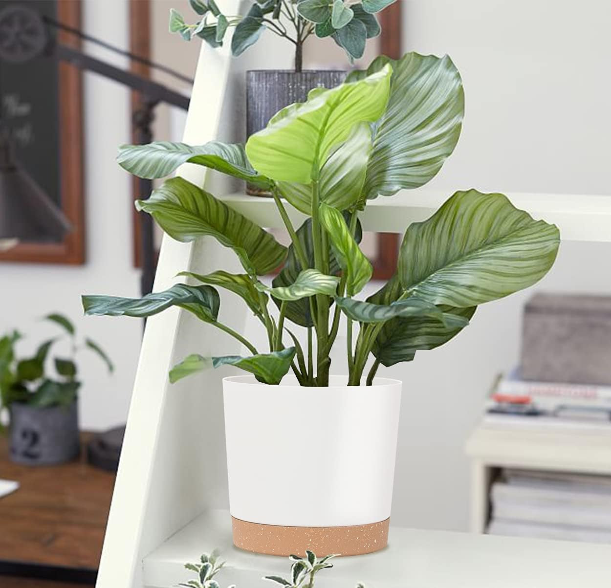 Indoor Plant Pots Planters 8 Inch Plastic Planter with Hole & Saucer Flower Pots Modern Decorative for Outdoor Garden Home (White X 3 Pack)