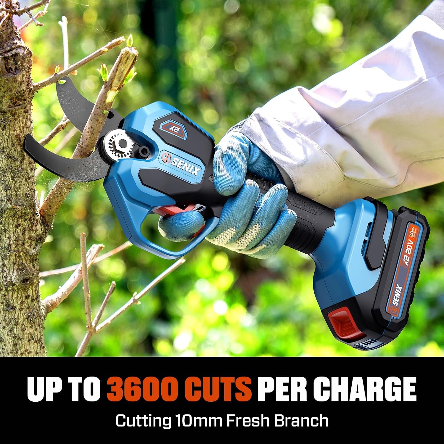 SENIX Cordless Electric Pruning Shears with 2000Mah Battery& Charger, 20V Brushless Motor Pruner, Dual Mode Cutting 1.5" Max for Delicate Flowers & Thick Branches, Gardening, Tree Pruners, Orchard