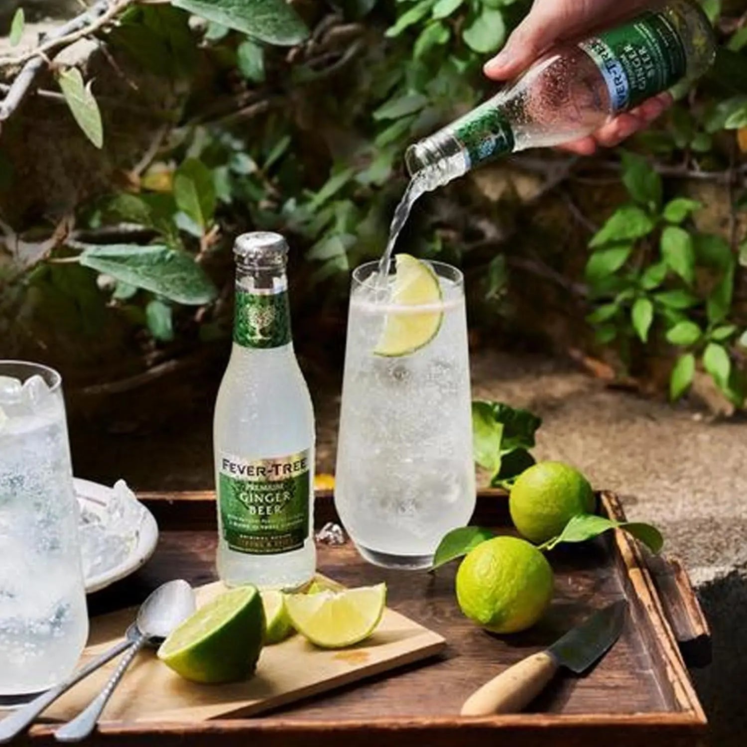 Fever Tree Premium Ginger Ale - Premium Quality Mixer and Soda - Refreshing Beverage for Cocktails & Mocktails 150Ml Bottle - Pack of 30