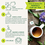 Organic Ginger Aid Digestive Tea, 16 Tea Bags (Pack of 1)