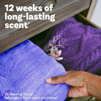 Infusions In-Wash Laundry Scent Booster Beads, CALM, Soothing Lavender and Vanilla Bean, 24 Oz