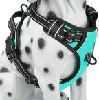 No Pull Dog Harness Medium, Reflective Vest with Front Clip & Handle | Easy On/Off, No Choke, Adjustable, 2 Leash D-Rings, Soft Padded, Breathable, Oxford, for Walking Training, M, Mint Blue
