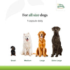 Bladder Control - Pet Supplies for Bladder Health - Support Urinary Tract Health - Dog Health Supplement - Pet Support for Dogs - 30 Capsules (30 Servings)