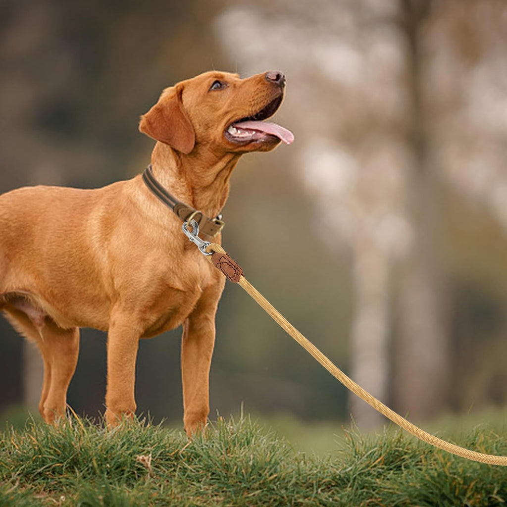 Dog Leash with Genuine Leather Connection/Handle, 4/5/6 FT | Rope Leash, Heavy Duty 360° Swivel Metal Clasp, for Small Medium & Large Dogs