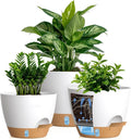 Self Watering Pots with Drainage Holes, 3 Pack 12/10/8 Inch Plant Pots with Water Level Indicator Deep Reservoir, Large Plastic Planter for Indoor Outdoor Plants - White Brown