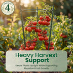 4 Pack round Tomato Cages for Garden,18 Inches Small Metal Tomato Cages with Adjustable Rings,Tomato Trellis and Plant Support for Raised Garden Beds, Pots and Climbing Vegetables