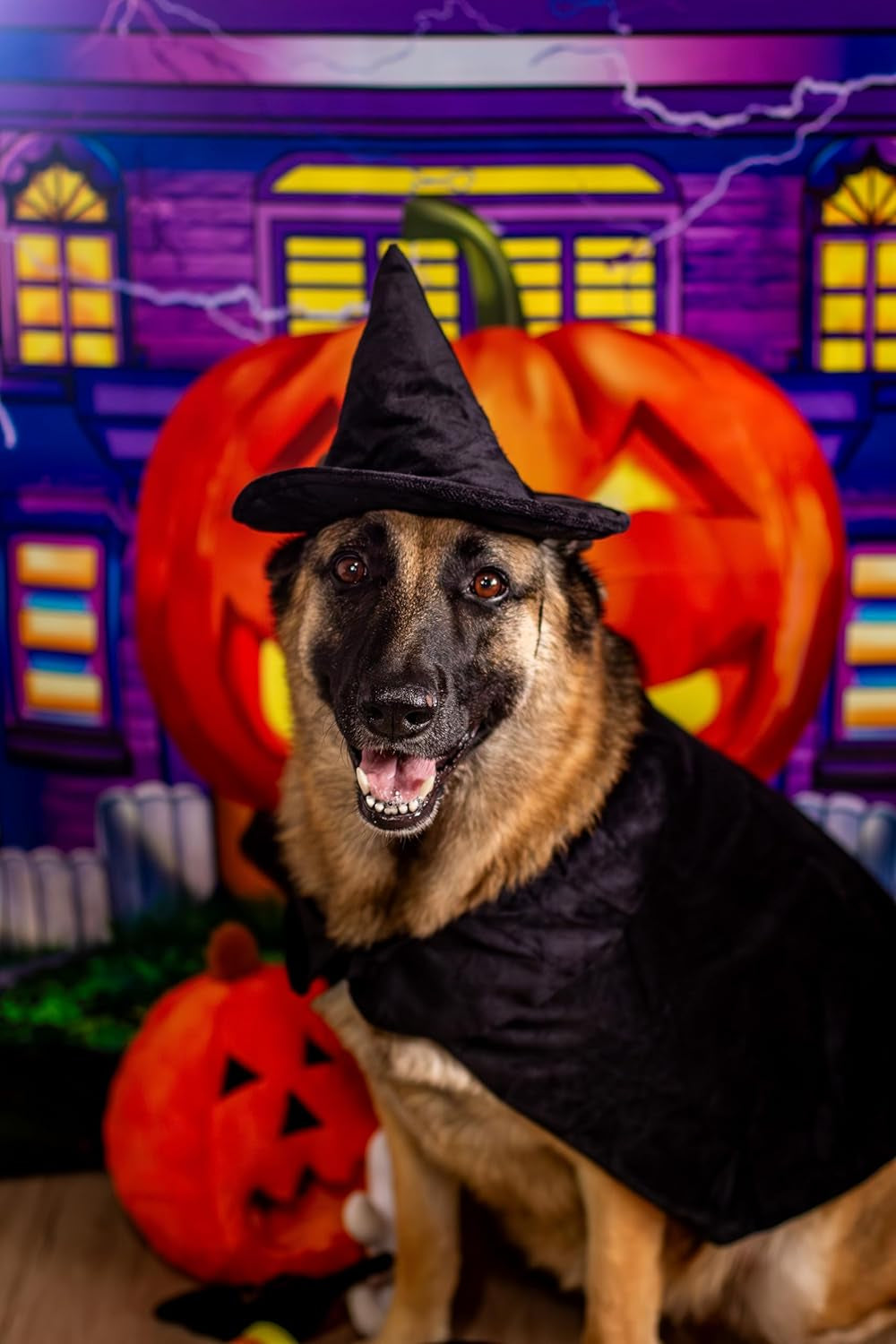 Halloween Witch Cape and Hat Dog Costume - Large