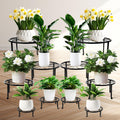 10 Pack Plant Stand, Metal Plant Stands for Outdoor Indoor Plants, Heavy Duty Plant Stands for Multiple Plant, Anti-Rust Iron Plant Pot Shelffor Planter, Potted Plant Holder for Garden Home