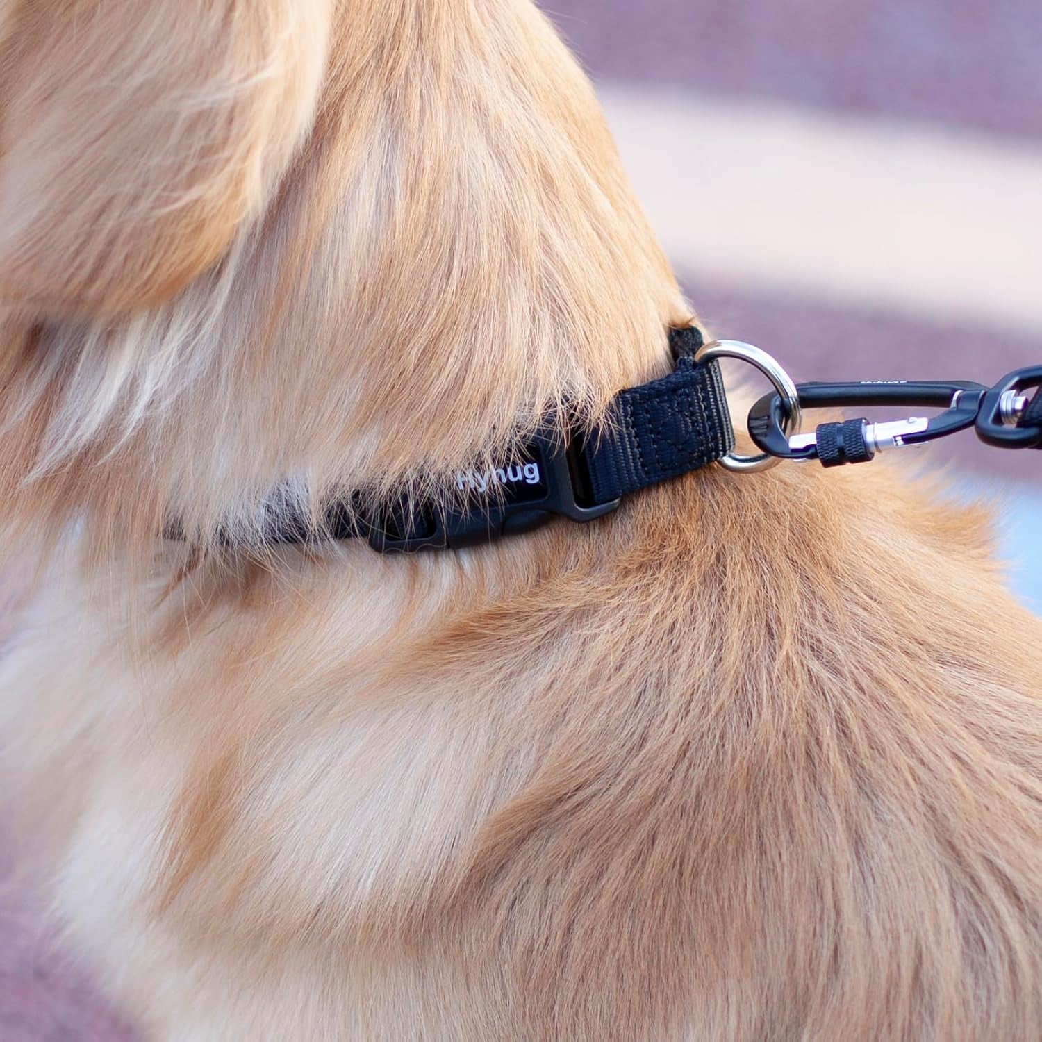 Black Puppy Collar, Quick-Release Buckle, Adjustable for Small Dogs | Durable Nylon, Adjustable Fit for Growing Pups. Great for Home Wear – Keeps Your Pup Looking Sharp & Comfortable