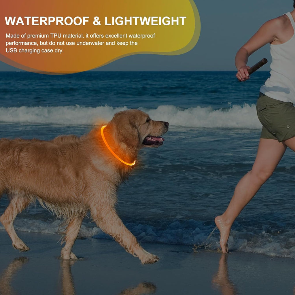 Lighted Dog Collar - Waterproof Puppy Collar Light Rechargeable, High Visibility Glowing Dog Lights for Night Walking (Orange)