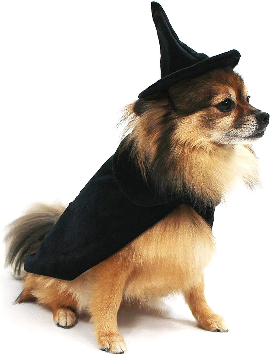 Halloween Witch Cape and Hat Dog Costume - Large