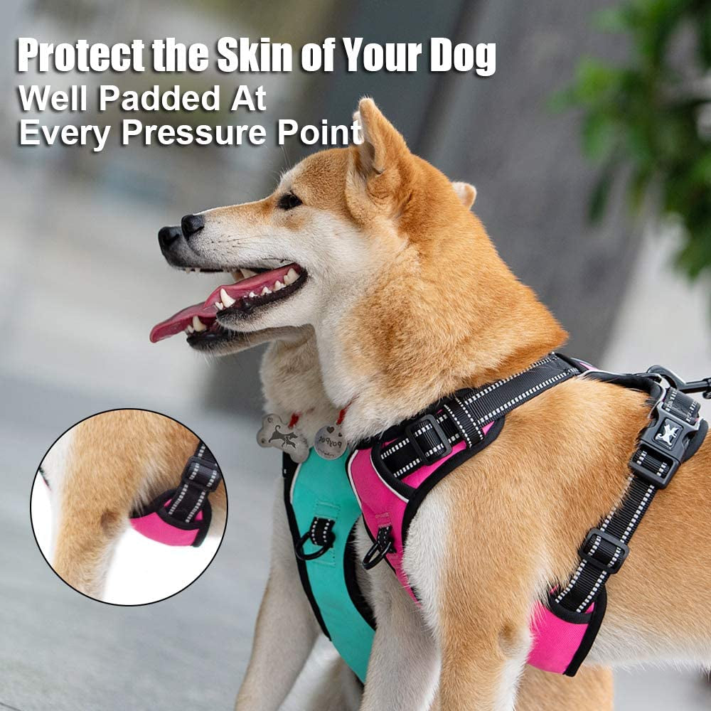 No Pull Dog Harness Medium, Reflective Vest with Front Clip & Handle | Easy On/Off, No Choke, Adjustable, 2 Leash D-Rings, Soft Padded, Breathable, Oxford, for Walking Training, M, Mint Blue