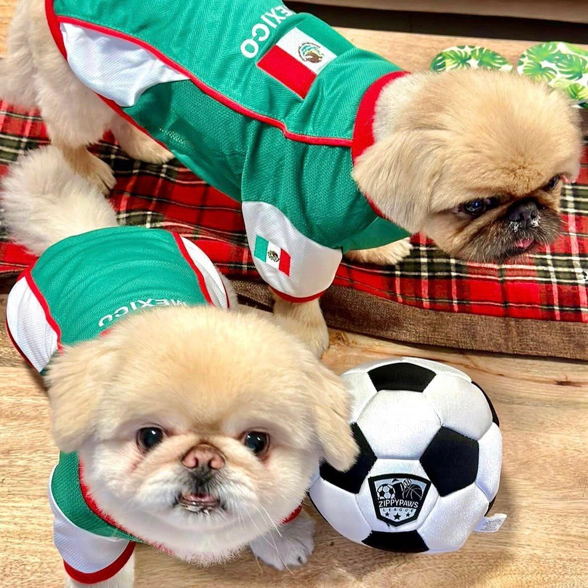 Dog Mexico Jersey - Breathable Mesh Puppy Football Jersey - Lightweight Stretch Sporty Dog Mexican Outfit - Summer Shirts for Large Dogs - Soccer Jersey for Dogs - Sportswear Pet Clothes