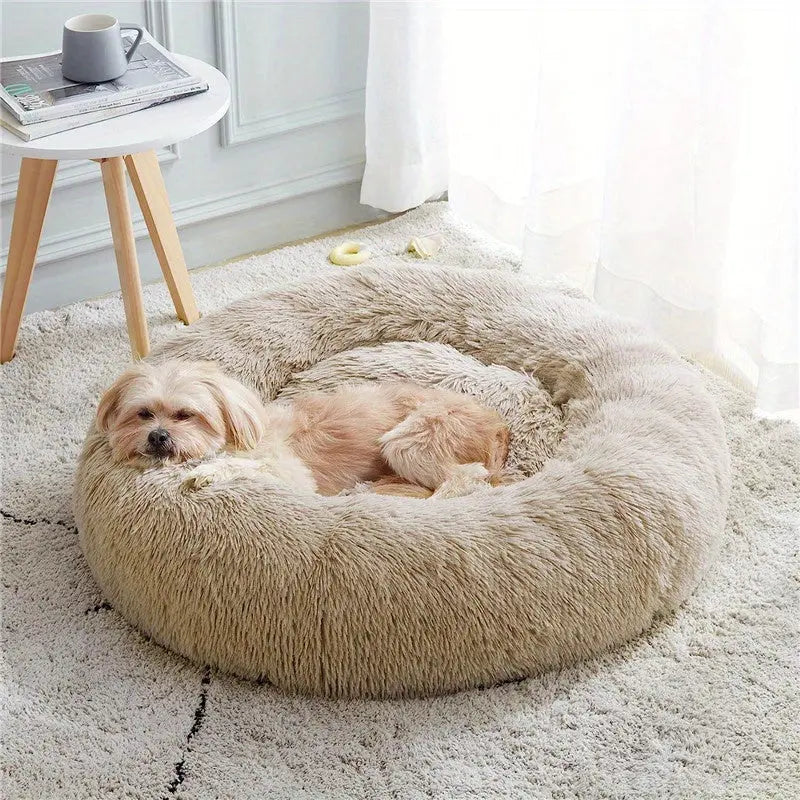 variants25