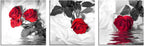 Canvas Print 3 Pcs Black White and Red Wall Art Rose Wall Decor Abstract Decorations Flower Picture on Canvas for Home Decor Stretched and Framed 12X12Inches