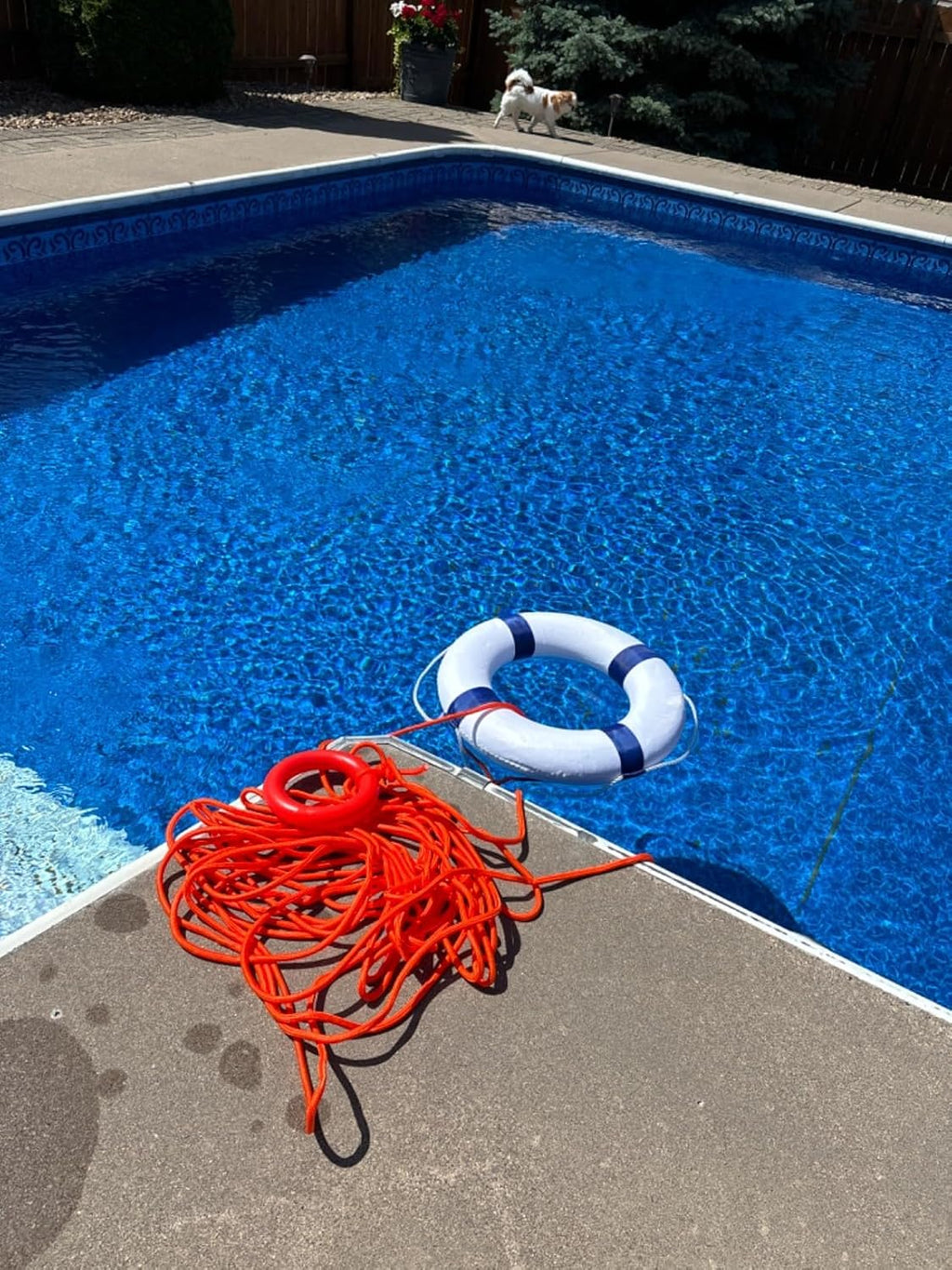 Pool Life Ring Buoy Life Preserver Ring with Lifesaving Rope Reflective Tape Yard Wall Decoration 10.6"/19.68"