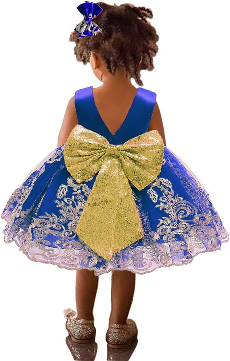 0-6 Years Baby Girls Pageant Lace Embroidery Dresses Toddler Formal Dress with Headwear