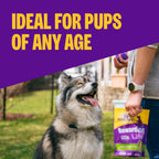 Rewarding Life Soft Dog Training Treats, Natural, Grain Free, Turkey and Duck Recipe, 6 Oz Bag