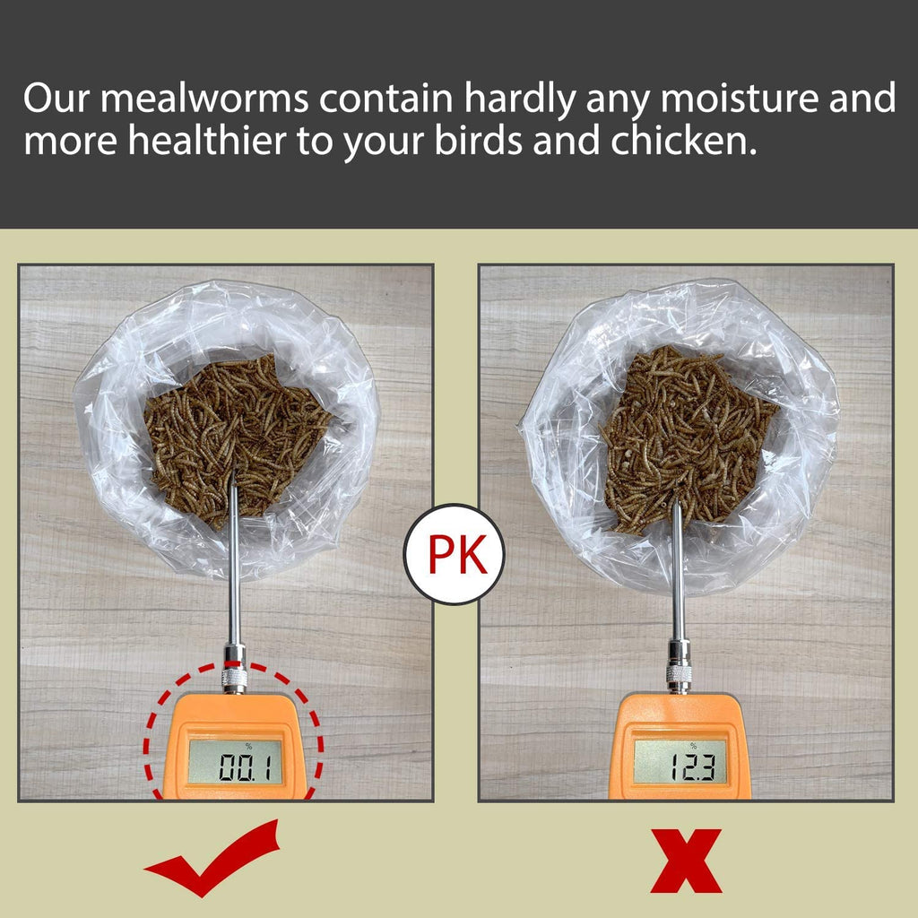 Non-Gmo Dried Mealworms,2Lb 100% Natural Large Size No Moisture,Treats for Birds Chickens Hedgehog Hamster Fish Reptile Turtles