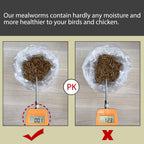 Non-Gmo Dried Mealworms,2Lb 100% Natural Large Size No Moisture,Treats for Birds Chickens Hedgehog Hamster Fish Reptile Turtles