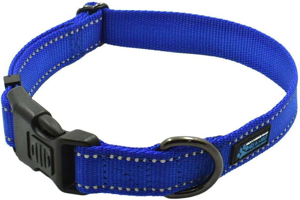 NEO Nylon Buckle Reflective Dog Collar - We Donate a Collar to a Dog Rescue for Every Collar Sold (Large, Blue)