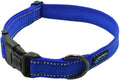 NEO Nylon Buckle Reflective Dog Collar - We Donate a Collar to a Dog Rescue for Every Collar Sold (Large, Blue)