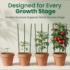 4 Pack round Tomato Cages for Garden,18 Inches Small Metal Tomato Cages with Adjustable Rings,Tomato Trellis and Plant Support for Raised Garden Beds, Pots and Climbing Vegetables