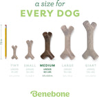 Maplestick Real Wood Durable Dog Chew Toy, Made in USA, Medium | Durable, Made in USA, Dog Bones, Long-Lasting, a Size for Every Dog, Keeps Them Busy