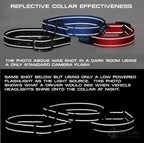 MAX Reflective Metal Buckle Dog Collar - We Donate a Collar to a Dog Rescue for Every Collar Sold (Large, Black)
