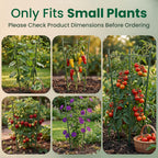 4 Pack round Tomato Cages for Garden,18 Inches Small Metal Tomato Cages with Adjustable Rings,Tomato Trellis and Plant Support for Raised Garden Beds, Pots and Climbing Vegetables