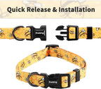 Dog Collar and Leash Set for Small Dogs & Cats, up to 20 Lbs | Soft Splicing Design, Adjustable Durable Pet Collar Leash for Everyday Walks, Training, and Outdoor Activities