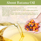 Batana Oil for Hair, Scalp & Skin, Natural Elaeis Oleifera Kernel Oil, Moisturizing Hair Oil for Dry Hair, Lightweight Conditioning Oil, Enhances Softness & Shine, 2.03 Fl Oz (60 Ml)