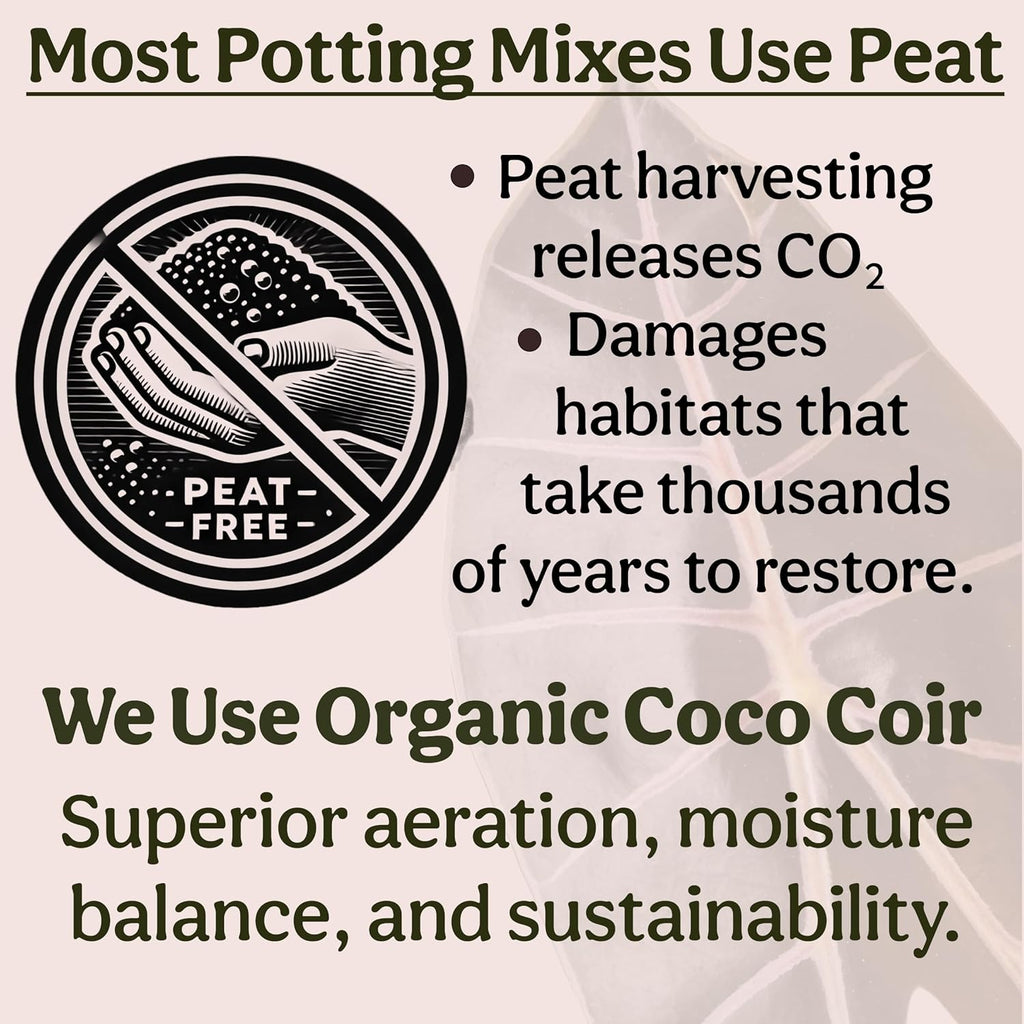 Craft Houseplant Potting Mix, Elite House Plant Soil, Chunky, Well Draining Potting Soil for Indoor Plants, Tropical Plants & Potted Plants, Sustainable & Peat Free, Less Prone to Gnats 4Qt