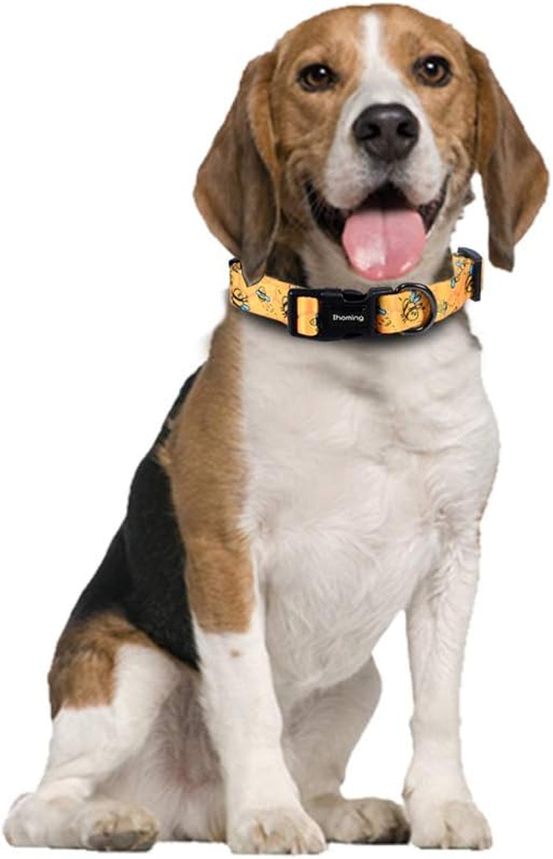 Dog Collar and Leash Set for Small Dogs & Cats, up to 20 Lbs | Soft Splicing Design, Adjustable Durable Pet Collar Leash for Everyday Walks, Training, and Outdoor Activities